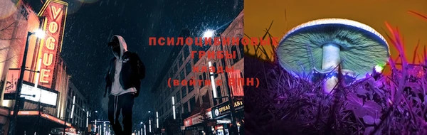 гидра Баксан